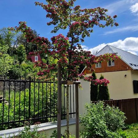 Villa Siglisberg Banská Štiavnica Esterno foto
