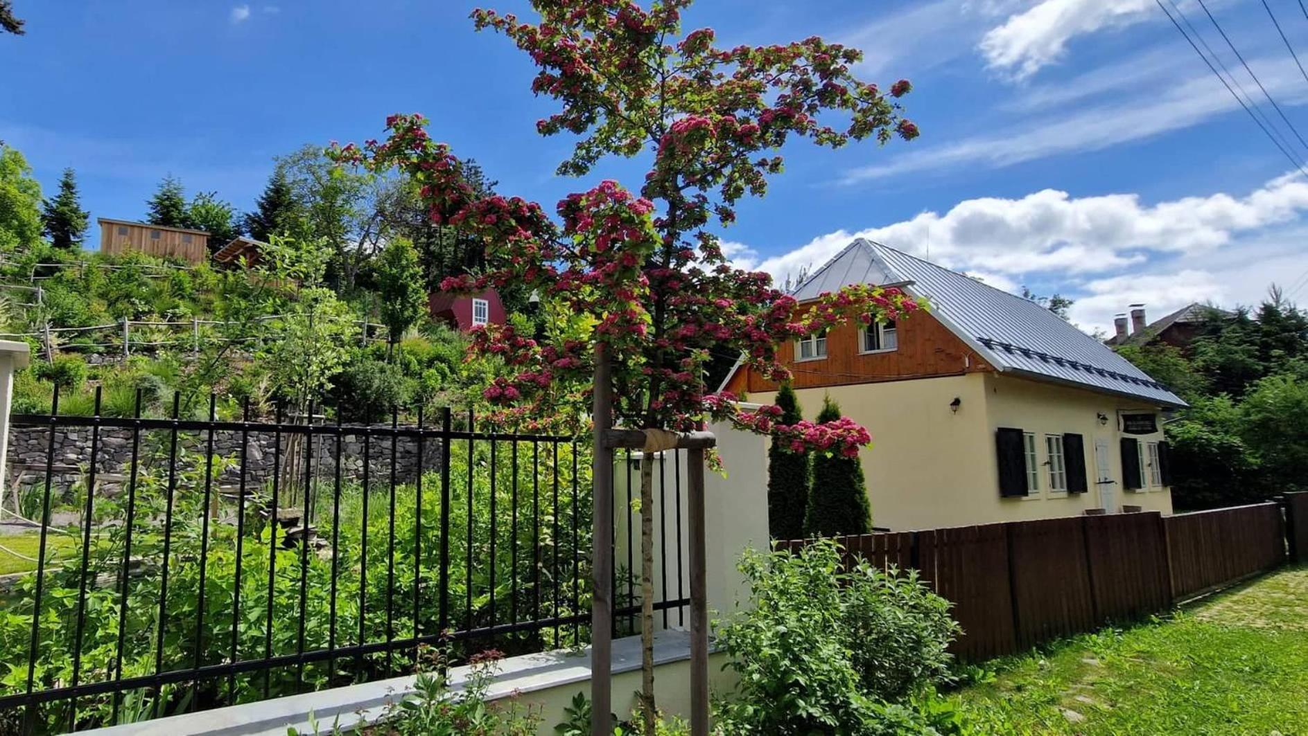 Villa Siglisberg Banská Štiavnica Esterno foto